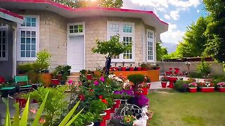 beautiful ???? house ????️