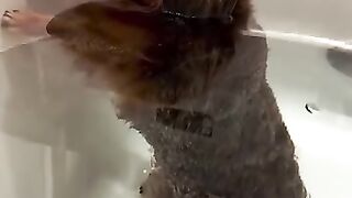 Funny Videos Part 66