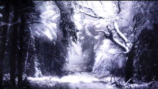 Snow boot - id | Trending HD Video 34