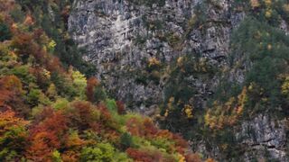 Silly Smile Live Wallpaper 4K - breathtaking autumn mountain landscape | Trending HD Video