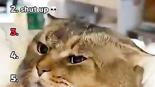 DON'T CHECK THE SOUND ???????? 15