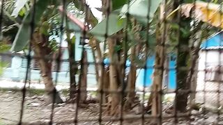 Pagi Jumat