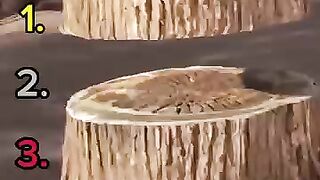 DON'T CHECK THE SOUND 11