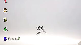 DON'T CHECK THE SOUND 13