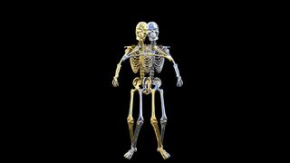 Funnyfuzzy - id | Trending HD Video 67