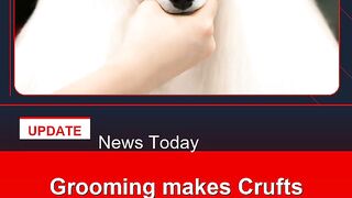 Grooming-makes-Crufts-debut-as-UK-dog-show-widens-offer