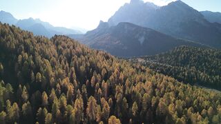 Moving Backgrounds 4k - WALLPS - aerial view of autumn forest in the dolomites | Trending HD Vi