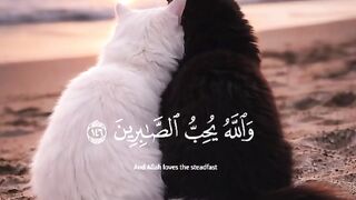 Tilawat e Quran paak 8