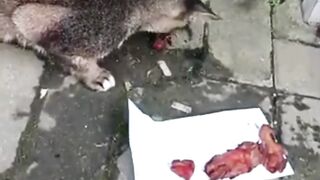 Terima Kasih Orang Baik 2