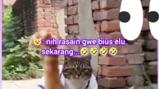 Oyen Senjata Makan Tuannya