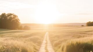 Emotional Stability vs Mental Health Which Matters