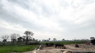 Gaon Mein Barish se pahle khane ki tiyari _ Nayyar chachu ke liye aaya khas paigham _ Village Life(720P_HD).mp4