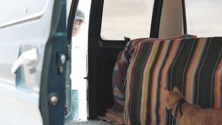 Funnyfuzzy - adventurous camping with cat in rustic van | Trending HD Video