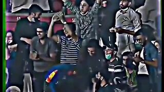 Mohammad Amir is King