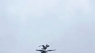 Best video