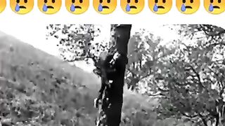 Zindgi ka safer###