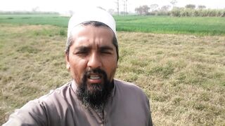 watering To Wheat || Gundum Ko Urea And SOP Pani Mein Hal Ker Kay Lagana || IFI VLOGS