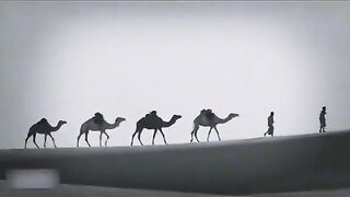 History of Dubai