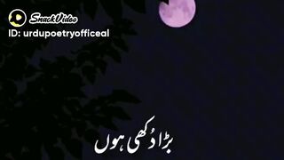 Best video