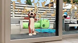 My dog in real life|| Dog animation