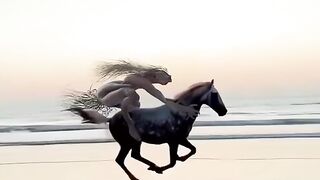 #animale #relix #funnyvideo