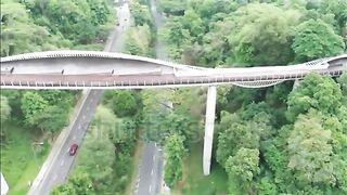 8_Most_Unusual_Bridges_In_The_World_