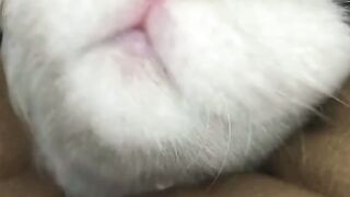 The hole is too narrow
