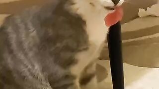 Tasting