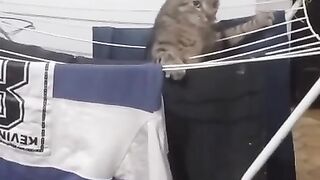 The new part of the Titanic