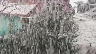 Snow Fall