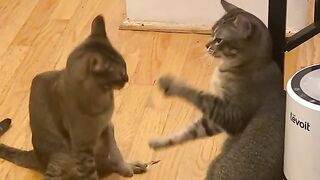 Legendary battle