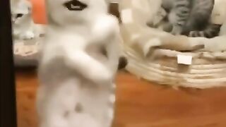 Hot dancing