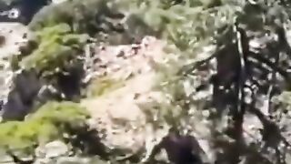 This would be scary to see while out hiking