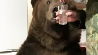 Russian bear