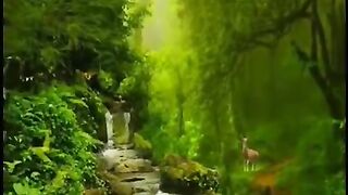 تلات قراں