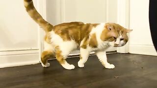 The blooper reel
