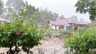 Hello guys, in my area it’s currently the rainy and windy season. Is it the same in your area?” ????️????