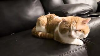 Message Rejected