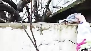 Hungry Street Kittens We Just Met… So We Fed Them
