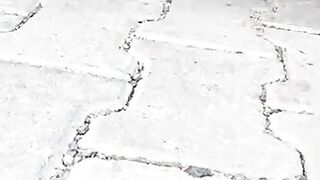 Frozen Cat Says THANK YOU in a Secret Language!