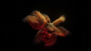 WallPics - 4K Wallpapers - id | Trending HD Video 3