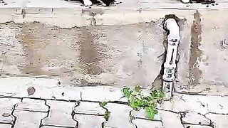 They Were Freezing and Starving… Until This Moment