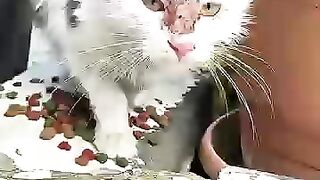 They Were So Hungry... But We Couldn’t Walk Away