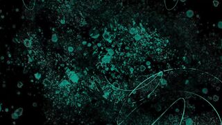 Wallpaper removal - id | Trending HD Video 4