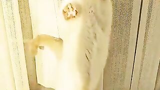 Arlo Tries to Climb the Window