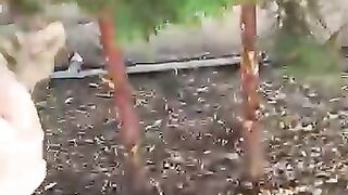 Healing Street Kittens
