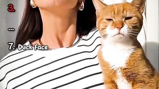 Cutest_Cats___Owners_Lookalike_