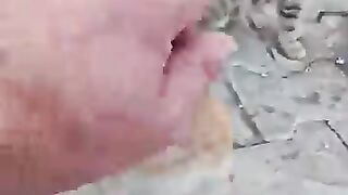 Feeding Street Cats. Cute Kitten Joins the Meal