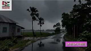 Beautiful Nature, windy rainy
