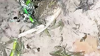 Looking for a fish or eel.. Thanks for watching..!! 36